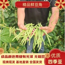 精品四季豆架豆王豆角产地直供现摘现发精挑细选条子好