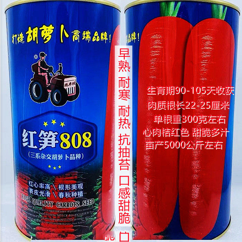 胡萝卜种子三系杂拖车头红笋808早熟高产耐寒耐热胡萝卜籽