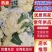 优质精品白面青梗松花菜一手货源。乳白色净菜！