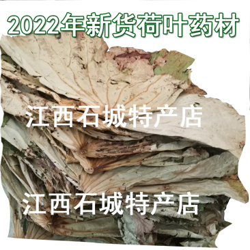 2023年药用荷叶产地直供干荷叶荷叶饭叫花鸡用荷叶边脚料