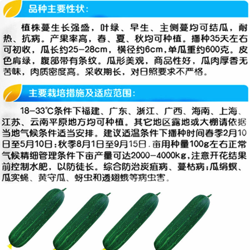 绿宝大吊瓜种子耐热黄瓜种籽春季夏季秋季无苦味花青甜脆蔬菜