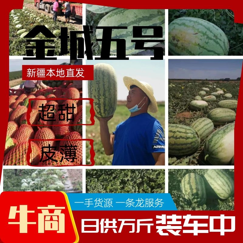 西瓜规格齐全天猫包邮诚信经营