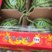 河南夏邑本地8424西瓜，一手货源包熟包甜，大量有货