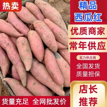 【精品】大量供货万亩库存基地开始供货有西瓜红，密薯，龙薯