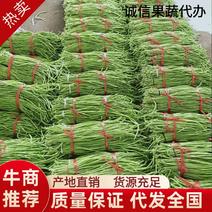 城固县翠绿青豇豆，条直无虫眼，可供商超，市场，酱菜厂