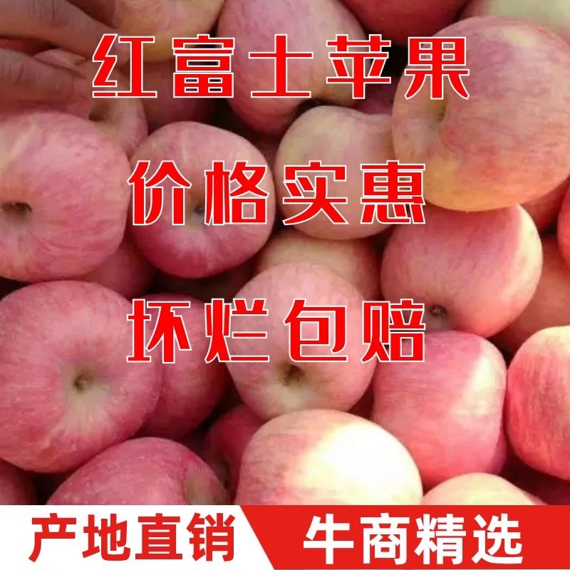 (苹果)山东红富士苹果80mm以上纸袋膜袋货源充足
