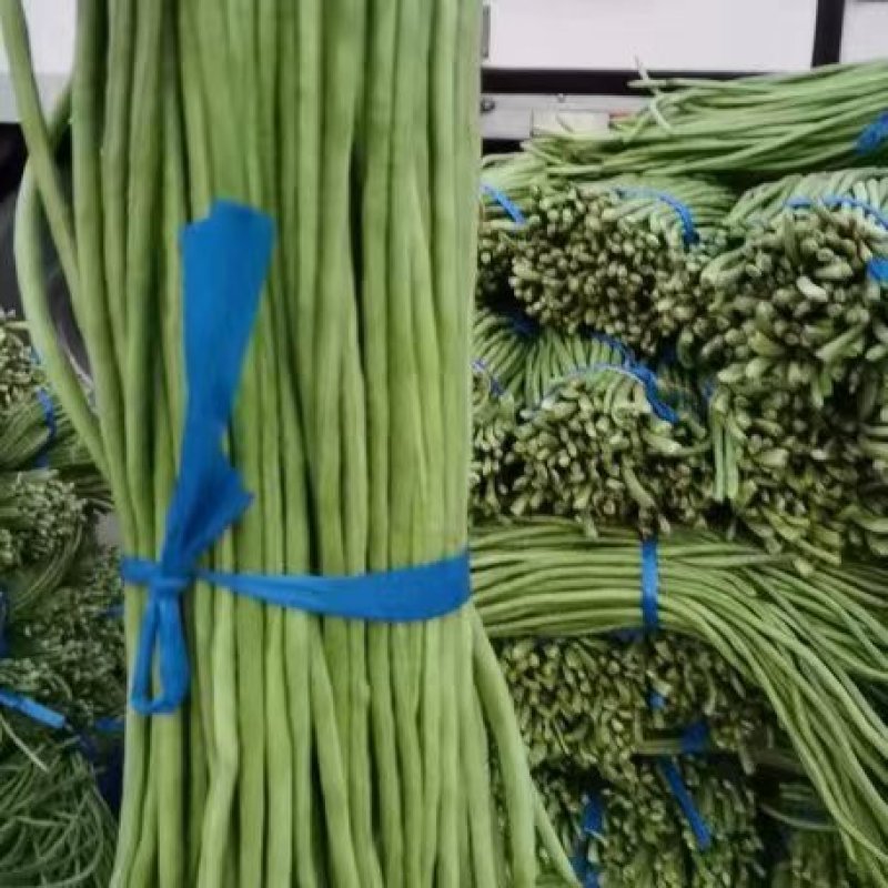 长豆角，开封长豆角，货源充足，现摘现发，诚信经营