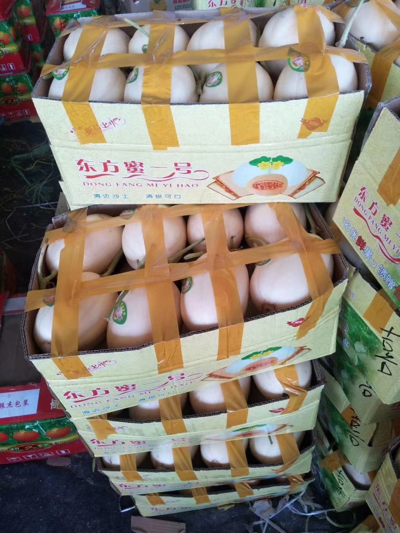 精品香瓜1.5斤以上品种多，货源充足诚信经营来电优惠