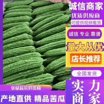 【推荐】苦瓜精品苦瓜优质货源产地直销商超直供