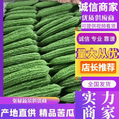 【推荐】苦瓜精品苦瓜优质货源产地直销商超直供