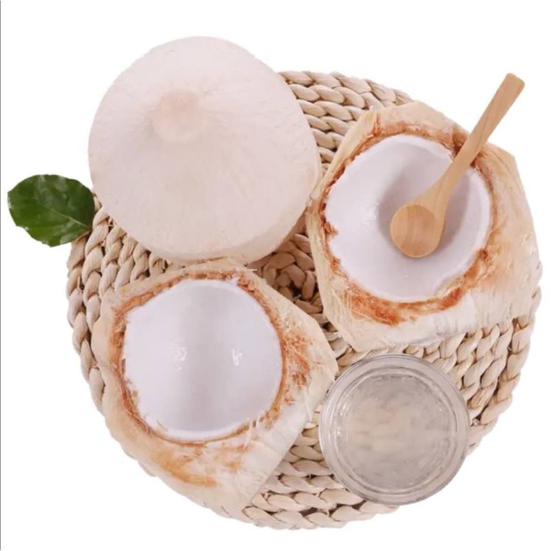 椰青海南特产椰子新鲜水果孕妇椰皇毛椰榨椰汁椰肉6/9大果
