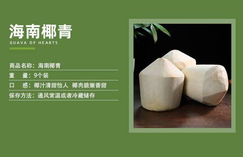 椰青海南特产椰子新鲜水果孕妇椰皇毛椰榨椰汁椰肉6/9大果