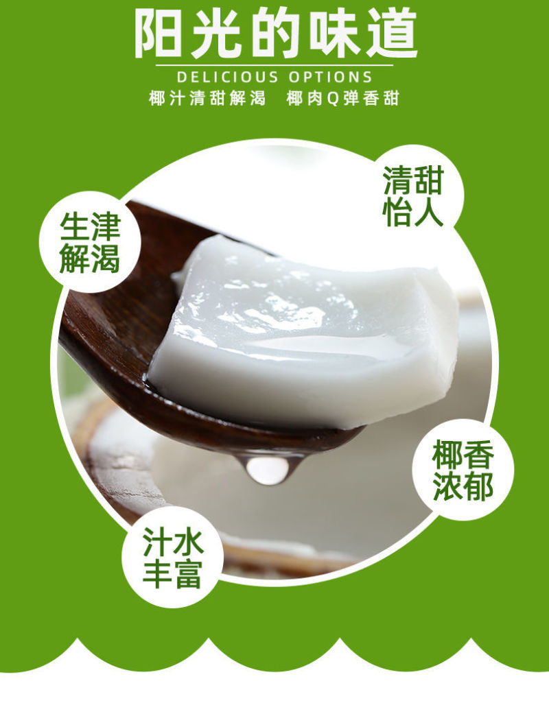 椰青海南特产椰子新鲜水果孕妇椰皇毛椰榨椰汁椰肉6/9大果