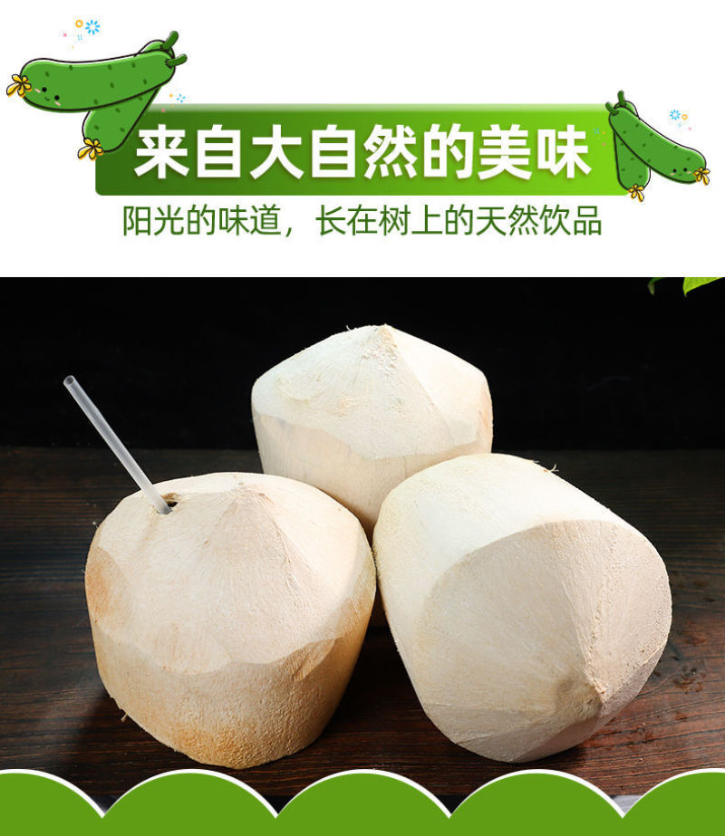 椰青海南特产椰子新鲜水果孕妇椰皇毛椰榨椰汁椰肉6/9大果