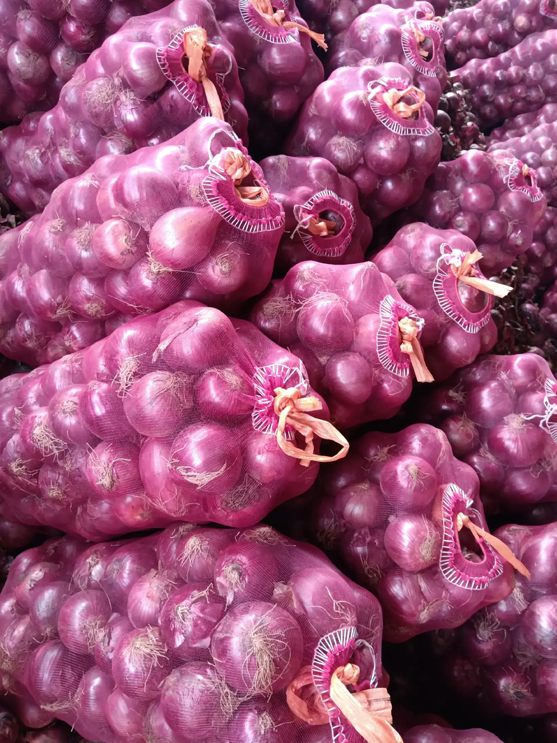 【热卖】紫皮洋葱产地供货品质保证对接各类客户。