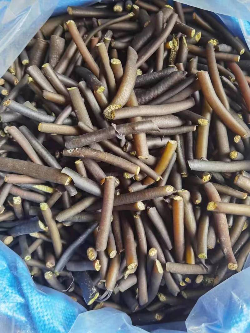 精品南极海茸基地直供一手货源品质保证诚信经营欢迎采购