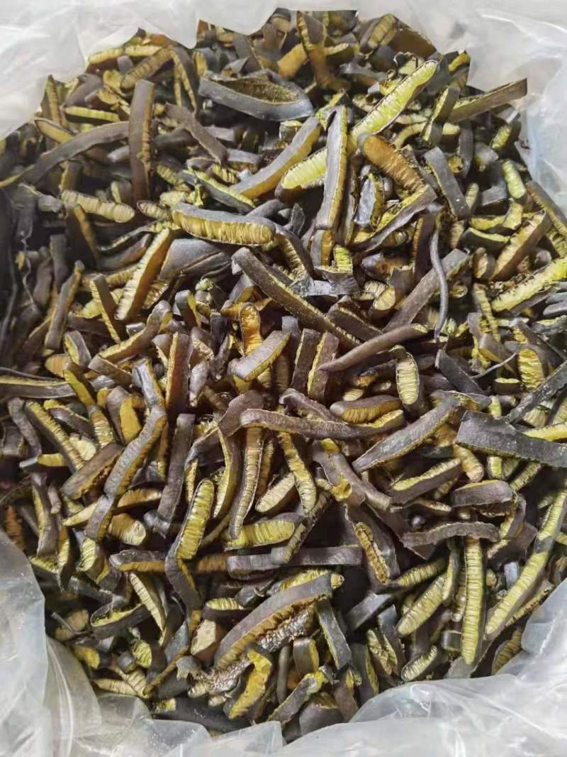 精品南极海茸基地直供一手货源品质保证诚信经营欢迎采购