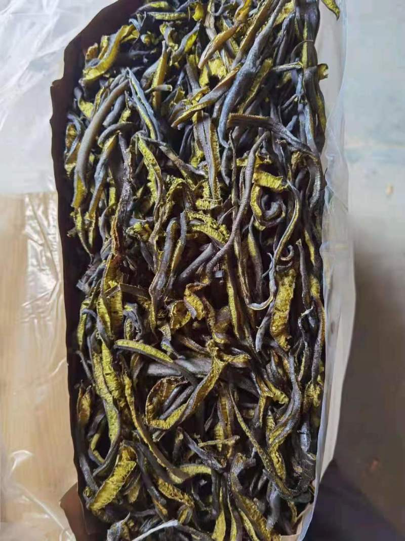 精品南极海茸基地直供一手货源品质保证诚信经营欢迎采购