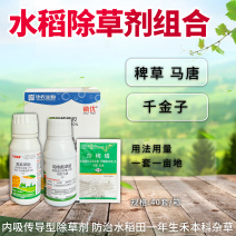 恶唑酰草胺氰氟草酯莎稗磷水稻除草剂组合
