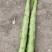 （实力供货）四川三青莴笋已大量上市，产地直发，量大从优
