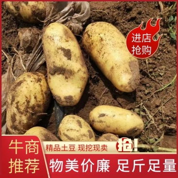 沃土，源头货源。无中间商差价，货量充足。