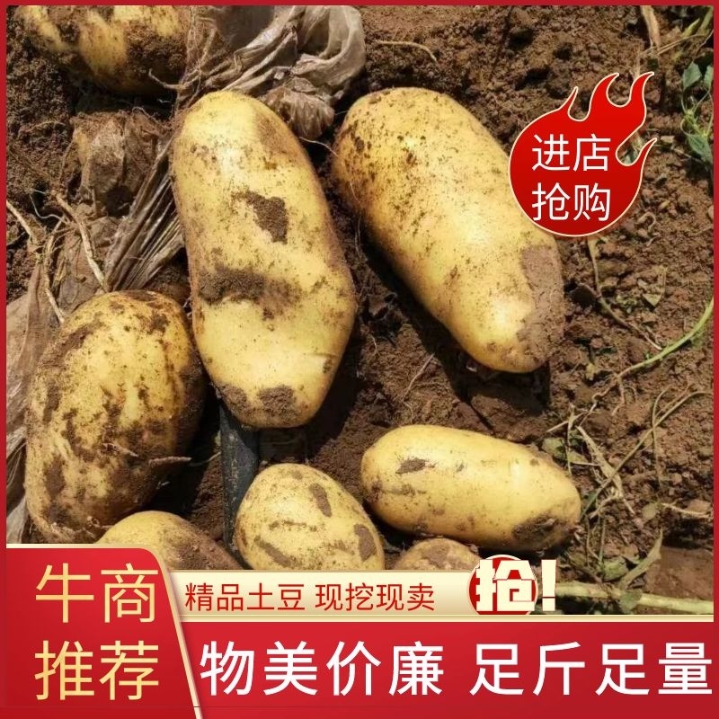 沃土，源头货源。无中间商差价，货量充足。