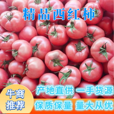 【推荐】河北硬粉西红柿量大从优全国代发欢迎来电咨询
