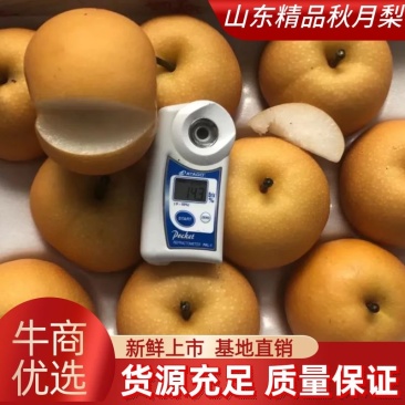秋月梨，品质好，含糖量高，供电商社区水果团购，超市，市场