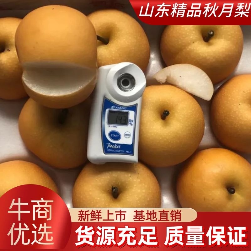 秋月梨，品质好，含糖量高，供电商社区水果团购，超市，市场