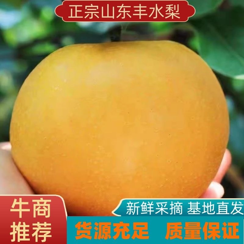 供应丰水梨承接各大电商社区团购商超市场业务