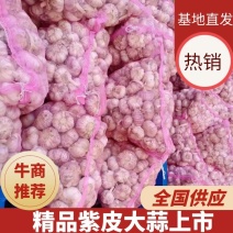 【推荐】紫皮蒜大蒜新干蒜大蒜头批发实实在在报价