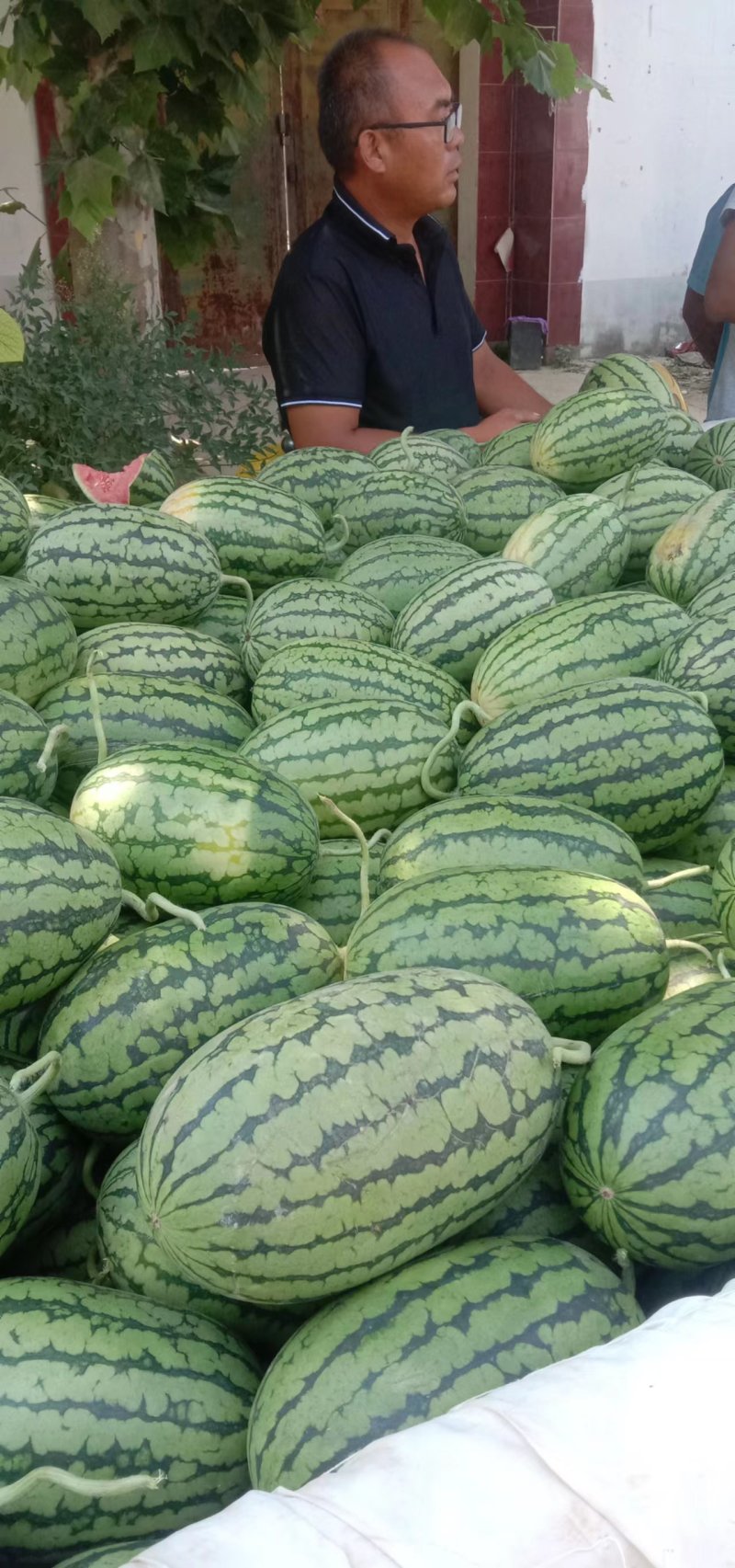 精品西瓜，甜王西瓜一手货源视频看货诚信经营品质保证