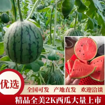 精品西瓜，全美2k西瓜，一手货源视频看货诚信经营品质