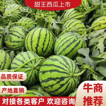 精品甜王，4K西瓜大红瓤薄皮皮毛好地头装车