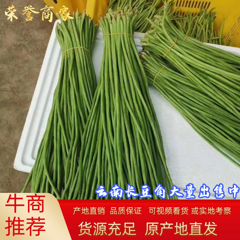 【精品】豆角长豆角一手货源基地直发全国发货欢迎联系