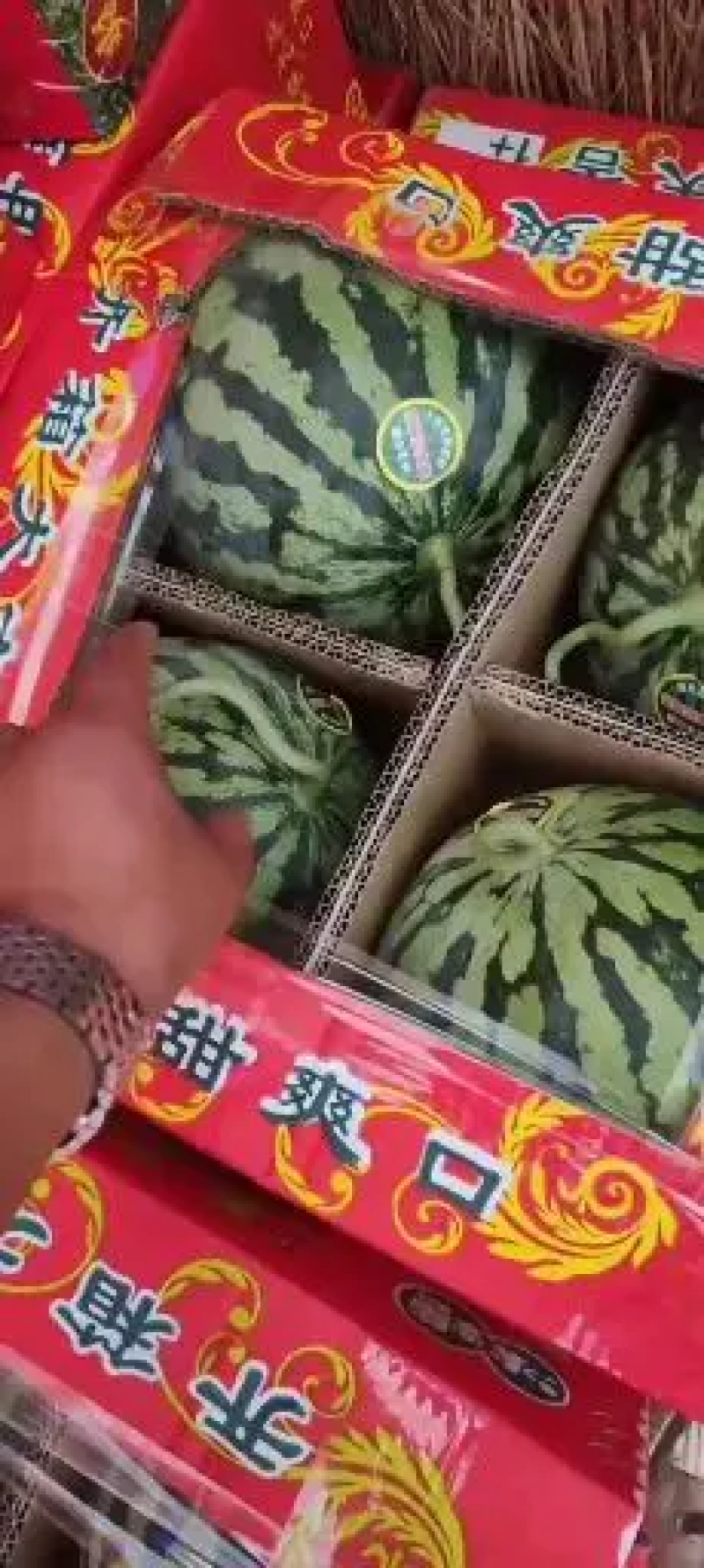 美都西瓜夏邑县大棚美都西瓜农户一手货源产地发货质量保证