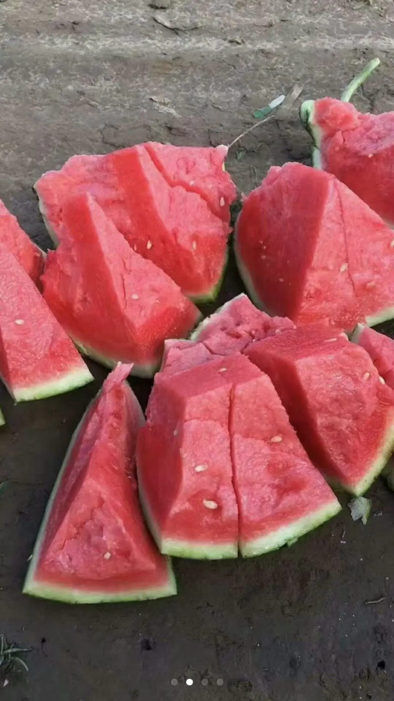 美都西瓜夏邑县大棚美都西瓜农户一手货源产地发货质量保证