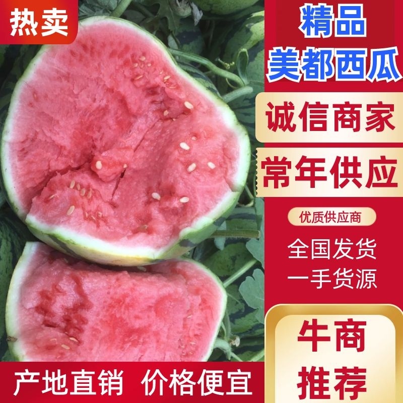 美都西瓜夏邑县大棚美都西瓜农户一手货源产地发货质量保证