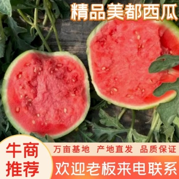 夏邑西瓜美都西瓜万亩产地现摘现发量大从优包熟包甜