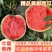 夏邑西瓜美都西瓜万亩产地现摘现发量大从优包熟包甜
