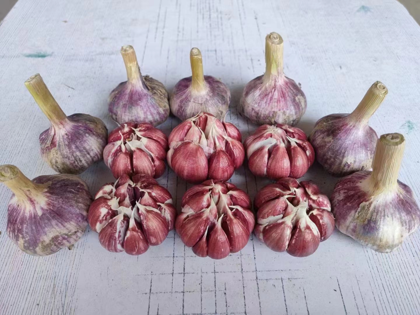 黑大蒜抗氧化实验对比图