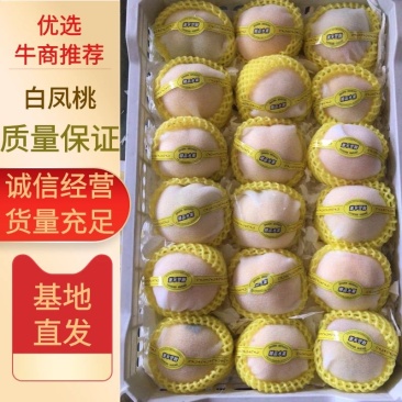 优质水蜜桃，蓬仙十三，汁多味美，速来采购啦