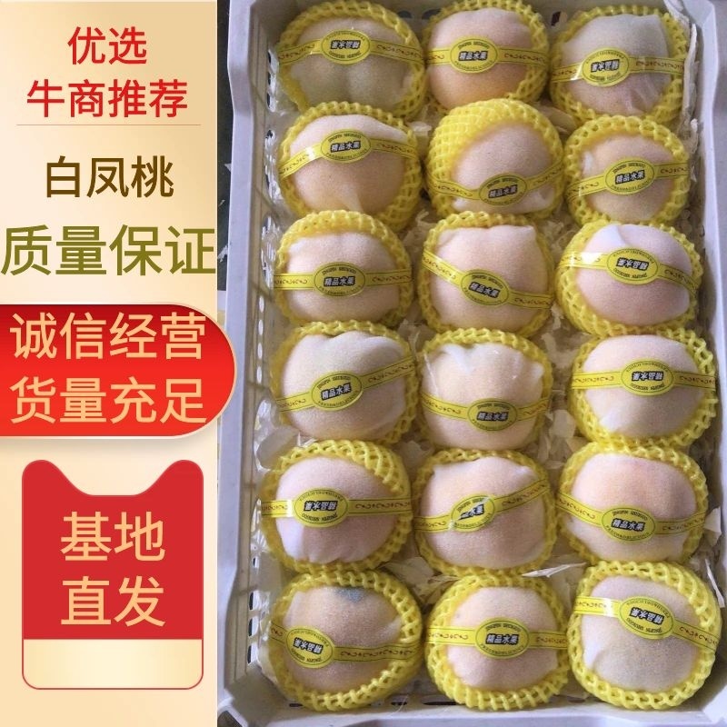 优质水蜜桃，蓬仙十三，汁多味美，速来采购啦