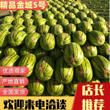 【宁夏石头瓜】A货，平均单个25斤。高温天气宜大量采够
