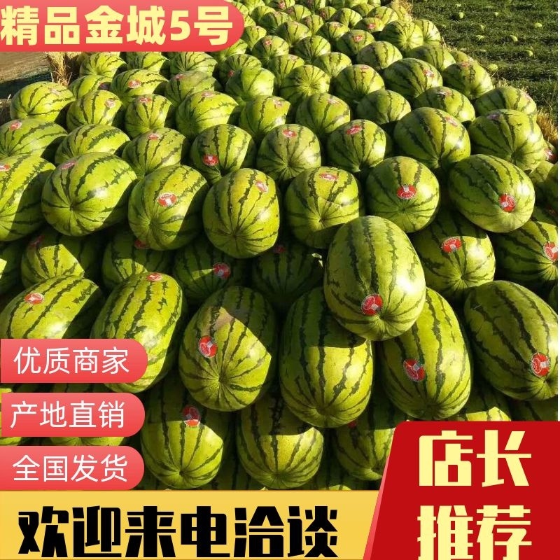 【宁夏石头瓜】A货，平均单个25斤。高温天气宜大量采够