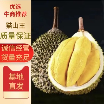 猫山王D197电商全规格现货一手货源欢迎对接合作液氮榴莲