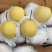 【精品雪花梨】山西梨质量保证量大从优基地现摘诚信代发
