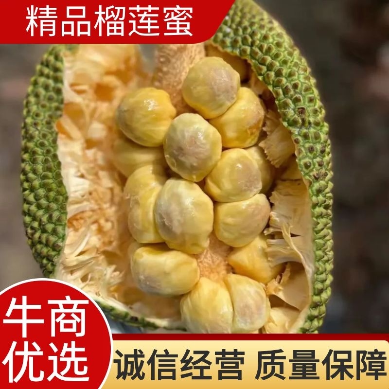 榴莲蜜，海南三亚榴莲蜜，批发零售均可，质优价廉