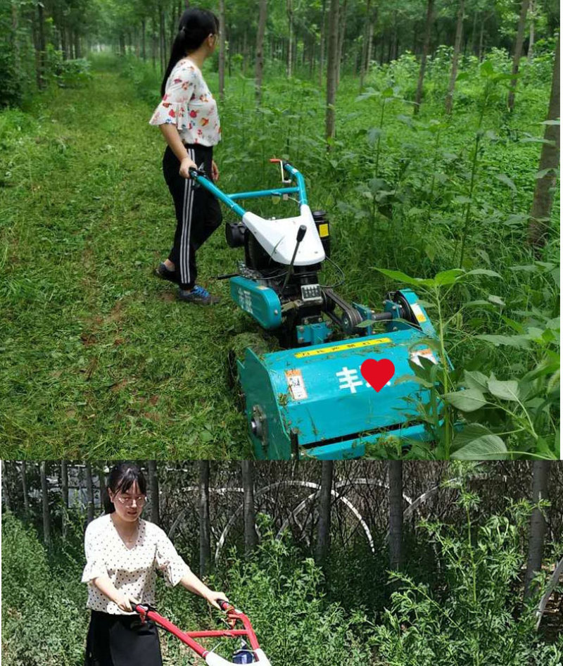 自走式碎草还田机果园小型打草机园林手推式割草机