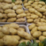 荷兰十五土豆希森土豆基地直发大量上市欢迎来电订购